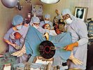*Three Dog Night ?– Hard Labor - Original Cover (Vinyl LP Album) 1974. Near Mint