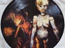 Nirvana Lithium Limited Edition Picture Disc