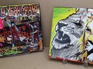 Yeah Yeah Yeahs Fever To Tell Vinyl LP Picture Disc Album 2003 NEW NEVER PLAYED