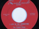 Garage Psych 45 LEMON DROPS I Live In The Springtime REMBRANDT HEAR VG+