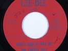 Garage Psych 45 LIBERTY BELL That's How It Will Be GEE-BEE HEAR