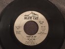 The Ad Libs ?– I'm Just A Down Home Girl / Johnny My Boy - Blue Cat Promo Hear