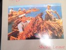 YUNG WU - Shore Leave (Feelies, 1987 vinyl LP on Coyote) EX+/EX power  pop indie
