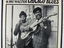 Johnny Young & Big Walter - Chicago Blues LP - Arhoolie VG+