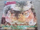 PETER AND THE TEST TUBE BABIES - THE MATING SOUNDS OF SOUTH AMERICAN FROGS - NEW