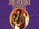 JIMI EXPERIENCE HENDRIX - THE JIMI HENDRIX EXPERIENCE (BOX SET)  8 VINYL LP NEUF