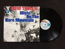 NEW TROLLS - NIGHT ON THE BARE MOUNTAIN / ITALIAN PROG LP ORIGINAL GERMAN PAN
