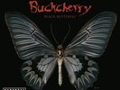 Buckcherry -Black Butterfly(LTD. Vinyl LP -Incl. CD), 2008 Eleven Seven/ Atlanti