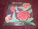 Todd Rundgren Something/Anything? 1972 1st Pressing Bearsville Records 2 LP Set