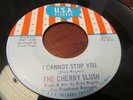 THE CHERRY SLUSH MICHIGAN GARAGE ON U.S.A LABEL I CANNOT STOP YOU / DON'T WALK