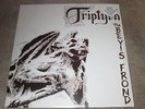 THE BEVIS FROND - TRIPTYCH - NEW - DOUBLE LP RECORD