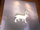 SIGNED  Stainless Steel Mirrors, Buck Gooter (LP, 2016, Feeding Tube Records)