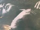 The Smiths The Queen Is Dead Vinyl
