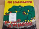 The Dead Milkmen ?– Big Lizard In My Backyard LP - NEAR MINT - STILL IN SHRINK
