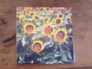 SUNNYBOYS INDIVIDUALS