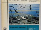 Prairie Spring Sounds Of Nature Series Volume 7 Federation of Ontario Naturalist