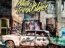 White Trash Blues (Vinyl) - QUIREBOYS [LP]
