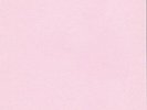 The Silent Wedding - Enigma Eternal                   (Freia Distribution)(neu)