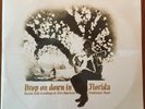 Drop On Down In Florida Vinyl Record 2xLP Sealed Various Artists