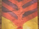 Yeah Yeah Yeahs Show Your Bones Vinyl LP