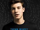 Handwritten (LP) - Shawn Mendes (Blue Vinyl, 2015, Island Records)