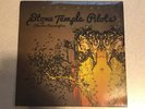 STONE TEMPLE PILOTS HIGH RISE 2013 VINYL RECORD LP CHESTER BENNINGTON IN SHRINK