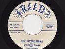 TwinSpin ALA Rockabilly LAWRENCE SHAUL Hey Little Mama/Tutti Frutti VG++ HEAR