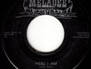 ROY PERKINS Here I Am RARE NEW ORLEANS R&B DOO WOP GROUP 45 *hear*