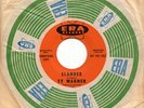 TY WAGNER Slander GARAGE FUZZ PROMO 45 NM *hear*