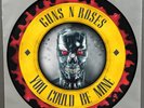 Guns N' Roses - You Could Be Mine  PHOTO VINYL SINGLE Picture Disc