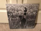 Jesu / Sun Kil Moon - Self Titled 2x Vinyl Lp caldo verde 2016 UK Press NM