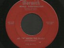 Ohio Rockin Instrumental 45   Hi-Fi's   Warwick   Mr K Rocks The Blues   Listen