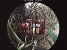 Charles Wright & The Watts 103rd St Rhythm Band In The Jungle, Babe Vinyl LP