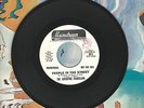 The Superfine Dandelion People In The Street Promo Mainstream 45 Record PSYCH M-