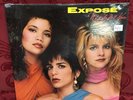 Expose What You Don't Know LP SEALED Vinyl Record Arista AL-8532