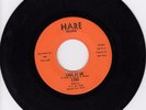 Lynx 45 Follow the Rain/Look at Me HARE M- TX garage psych LISTEN