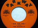 The DOVELLS 45 No, No, No / Letters of Love PARKWAY doo wop VG++ ws296