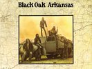 BLACK OAK ARKANSAS  : SELF TITLED :  180 GRAM AUDIOPHILE VINYL LP