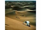 Baxter Dury-Prince Of Tears  (US IMPORT)  VINYL NEW