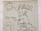 Chaos UK ,Summer of Hate.Very rare punk Single From 1979