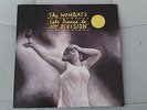 THE WOMBATS Let's Dance to JOY Division numbered 7