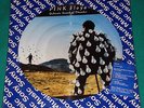 Pink Floyd - Delicate sound of thunder - BRAZIL ONLY PICTURE DISC PROMO LP 1989