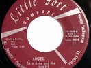 HEAR IT 60's Garage Teener 45 rpm record Skip Arne & Dukes 