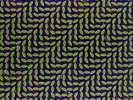 Animal Collective-Merriweather Post Pavilion  (UK IMPORT)  VINYL NEW