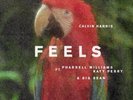 Calvin Harris / Katy Perry / Pharrell - Feels - Sealed 12