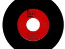 DAVE SCHERER & THE CASTELS-LOKI RECORDS-CHICAGO-1965 GARAGE 45-SINGLE-RARE