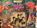 FLAT EARTH SOCIETY ORIG 1968 Waleeco LP Fleetwood Records Psych Monster RARE EX
