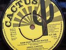 ERROL CARTER RAM GOAT MALISH WATER / RENKING DUB OG UK CACTUS 7