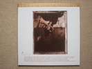 Pixies - Surfer Rosa (Mobile Fidelity MFSL MOFI LP Vinyl, 2009)