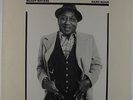 Muddy Waters - Hard Again LP - Blue Sky VG+